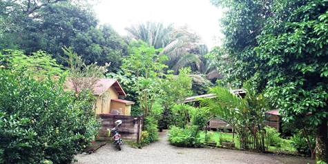 Parking and entry to jungle villa