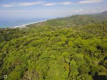 Farms and Acreages for Sale in Dominical, Puntarenas $1,900,000