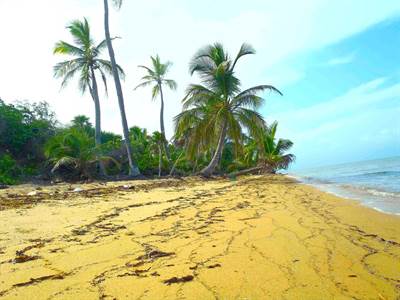 14.88 Acres Beachfront subdivision on Belize's southern coastline