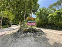 Homes for Sale in Chemuyil, Quintana Roo $36,070