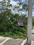 Lots and Land for Sale in Colonos Cuzamil, Cozumel, Quintana Roo $285,000