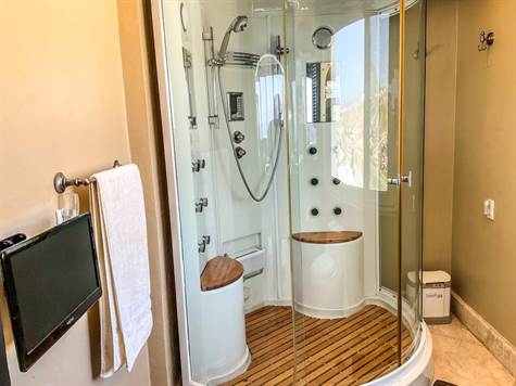 Master bedroom shower and steam