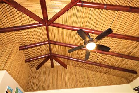 Tropical bamboo high ceilings.