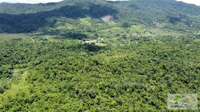 Belize 21.7 Acre Jungle with Creek & Views 