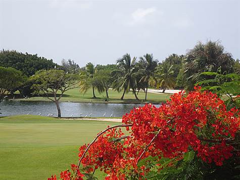 Cocotal golf view- Gate access across Sun Plaza