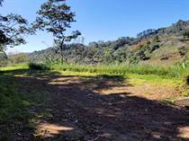 Lots and Land for Sale in Atenas, Alajuela $110,000