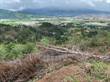 Lots and Land for Sale in Cartago, Cartago $8,900,000