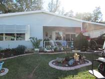 Homes for Sale in Forest Lake Estates, Zephyrhills, Florida $95,000