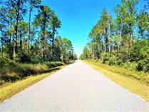 Lots and Land for Sale in Hastings, Florida $38,000
