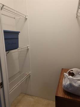 Large Linen closet