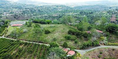 Farm with residential potential development in Sarchi, Alajuela.