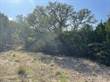 Lots and Land Sold in Stallion Springs, Fischer, Texas $59,900