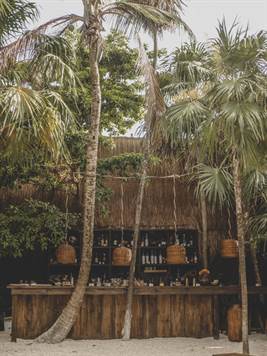 Slow: World-Known 5-Bedroom Hotel for Sale in Tulum