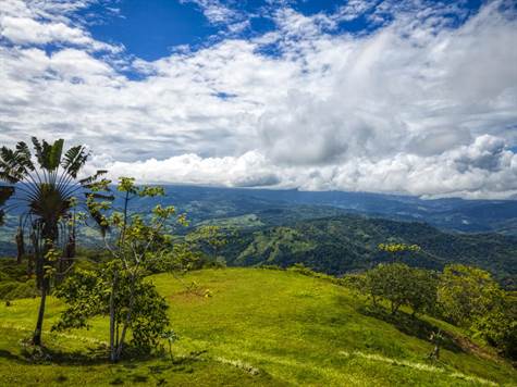 Costa Rica Real Estate - Dominical Farms