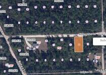 Lots and Land for Sale in Florida, Satsuma, Florida $12,000