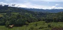 Farms and Acreages for Sale in Platanillo, Puntarenas $579,000