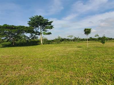 Large 1 Acre Lots near Spanish Lookout