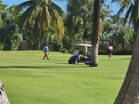 Cocotal Golf