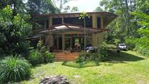 Homes for Sale in Platanillo, Dominical, Puntarenas $310,000