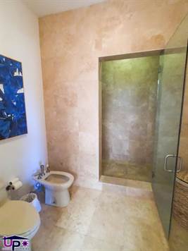 Sauna, shower in Master bathroom, modern, upscale finishes