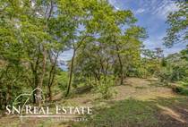 Lots and Land for Sale in Nosara, Guanacaste $489,000