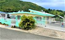 Multifamily Dwellings for Sale in Manton Abajo, Cayey, Puerto Rico $189,900