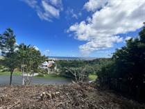 Lots and Land for Sale in Humacao, Puerto Rico $245,000