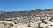 Lots and Land for Sale in Baja California , Baja California $25