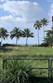 Lots and Land for Sale in Sandy Beach, Rincon, Puerto Rico $1,450,000