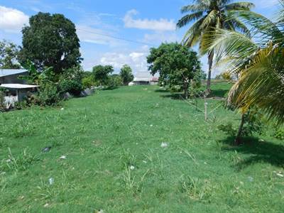 (2001) - - A RESIDENTIAL LOT IN SANTA ELENA, CAYO DISTRICT.