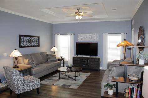 OPEN LIVING AREA WITH TREY CEILING