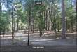 Lots and Land for Sale in Scotts Flat Lake, Nevada City, California $385,000
