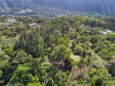 Costa Rica Real Estate Farms and Land