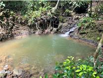 Lots and Land for Sale in Hatillo, Dominical, Puntarenas $79,000