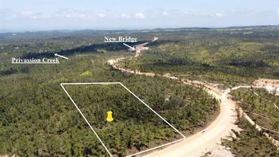 #4080 - 9.5 Acres of Land in the Maya Mountains of Belize near the Privassion Creek