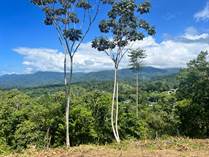 Lots and Land for Sale in Uvita, Puntarenas $330,000