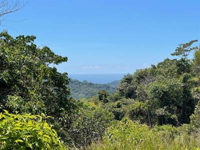 Ocean View Property With All Year Creek, Multiple Building Sites, End of Road Privacy!!!!