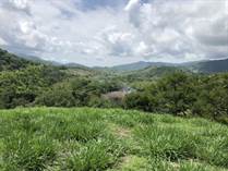 Farms and Acreages for Sale in Samara, Guanacaste $425,000