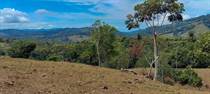 Farms and Acreages for Sale in Platanillo, Puntarenas $560,000
