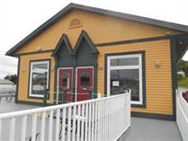 Commercial Real Estate for Sale in Dildo, Newfoundland and Labrador $485,000