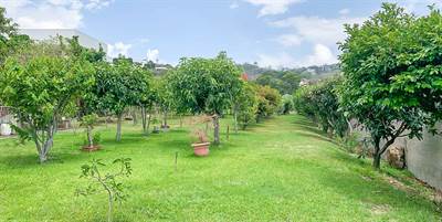Great Lot with Beautiful French Provenzal Style house 