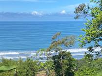Lots and Land for Sale in Ayacucho , Dominical, Puntarenas $399,000
