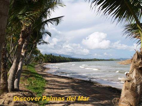 Discover Palmas del Mar, PR 