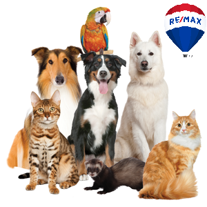 Donation Choice-Cats and Dogs-RE/MAX Balloon