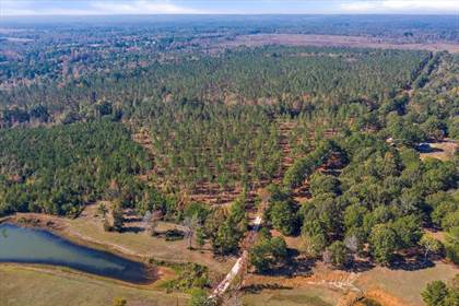 Picture of 36 ac CR 1219-Lot 2, Rusk, TX, 75785
