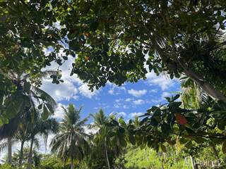 Lots And Land for sale in Loma Atatey, Playa Coson, Samaná