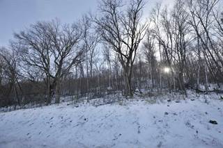 40 Ac County Road S, Blue River, WI, 53518