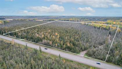 Lots And Land for sale in 5xxx Hwy 194, Hermantown, MN, 55811