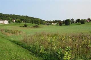 Lot 23 White Tail Tr, Richland Center, WI, 53581