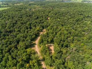 Lot 5 186th Ave., Balsam Lake, WI, 54810